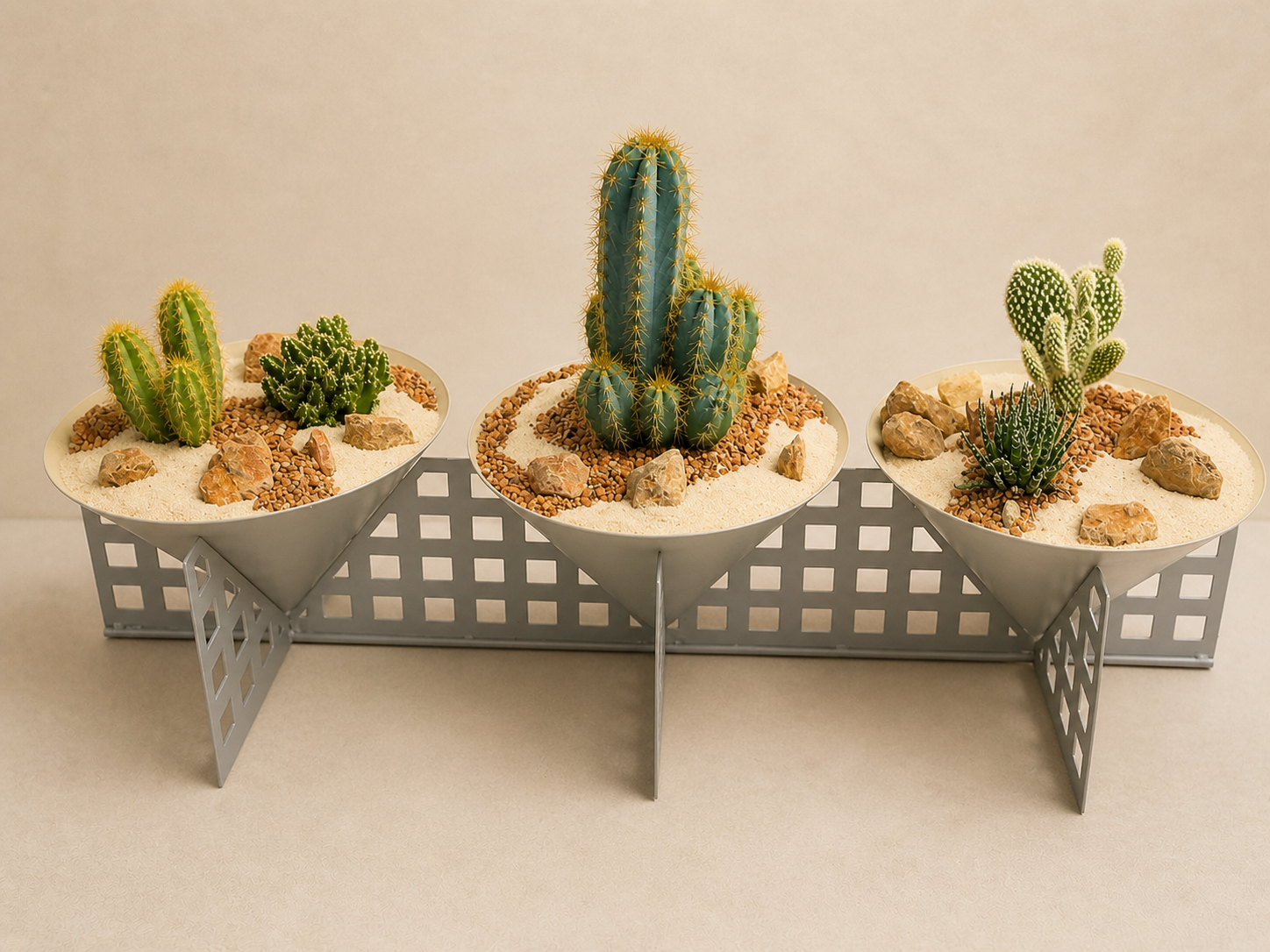Terra & Bloom — Desert Trio