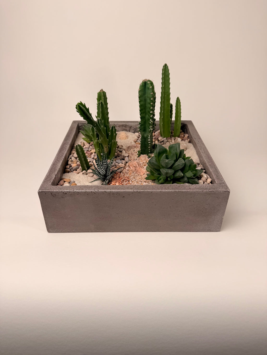 Desertscape Terrarium II