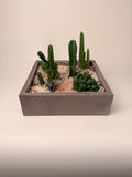 Desertscape Terrarium II