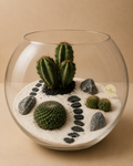 Obsidian Path Terrarium
