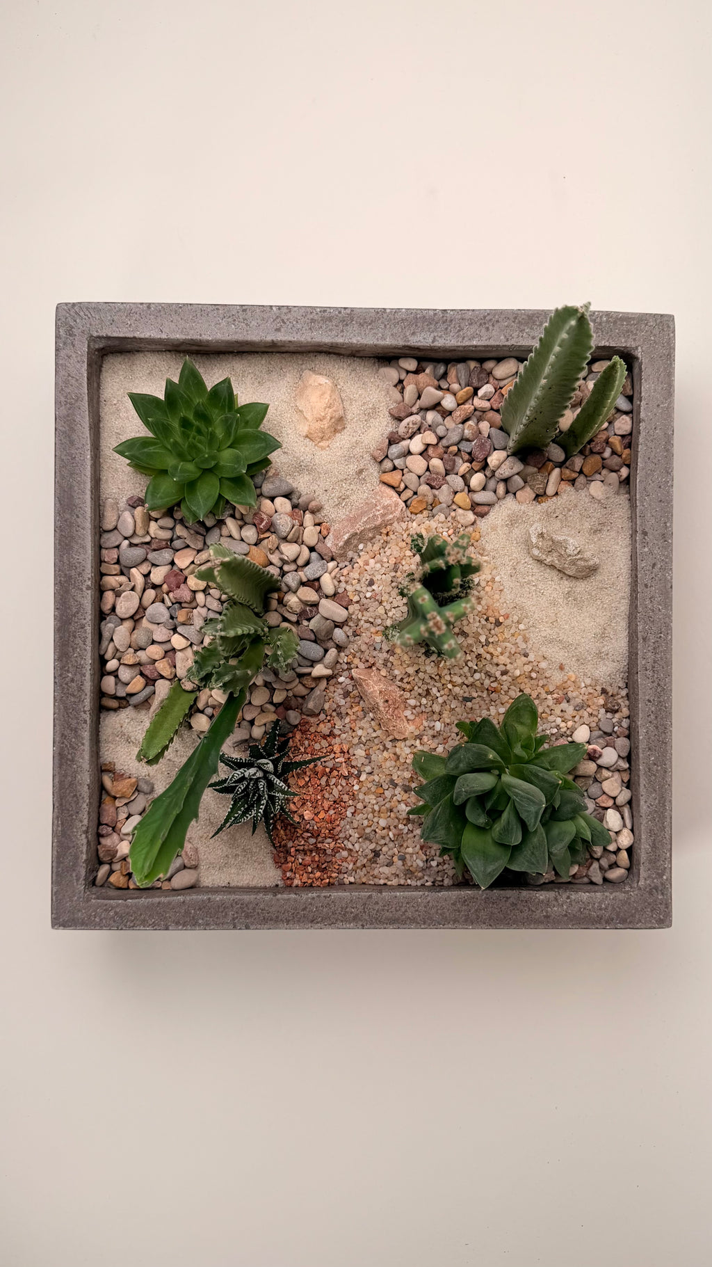 Desertscape Terrarium II