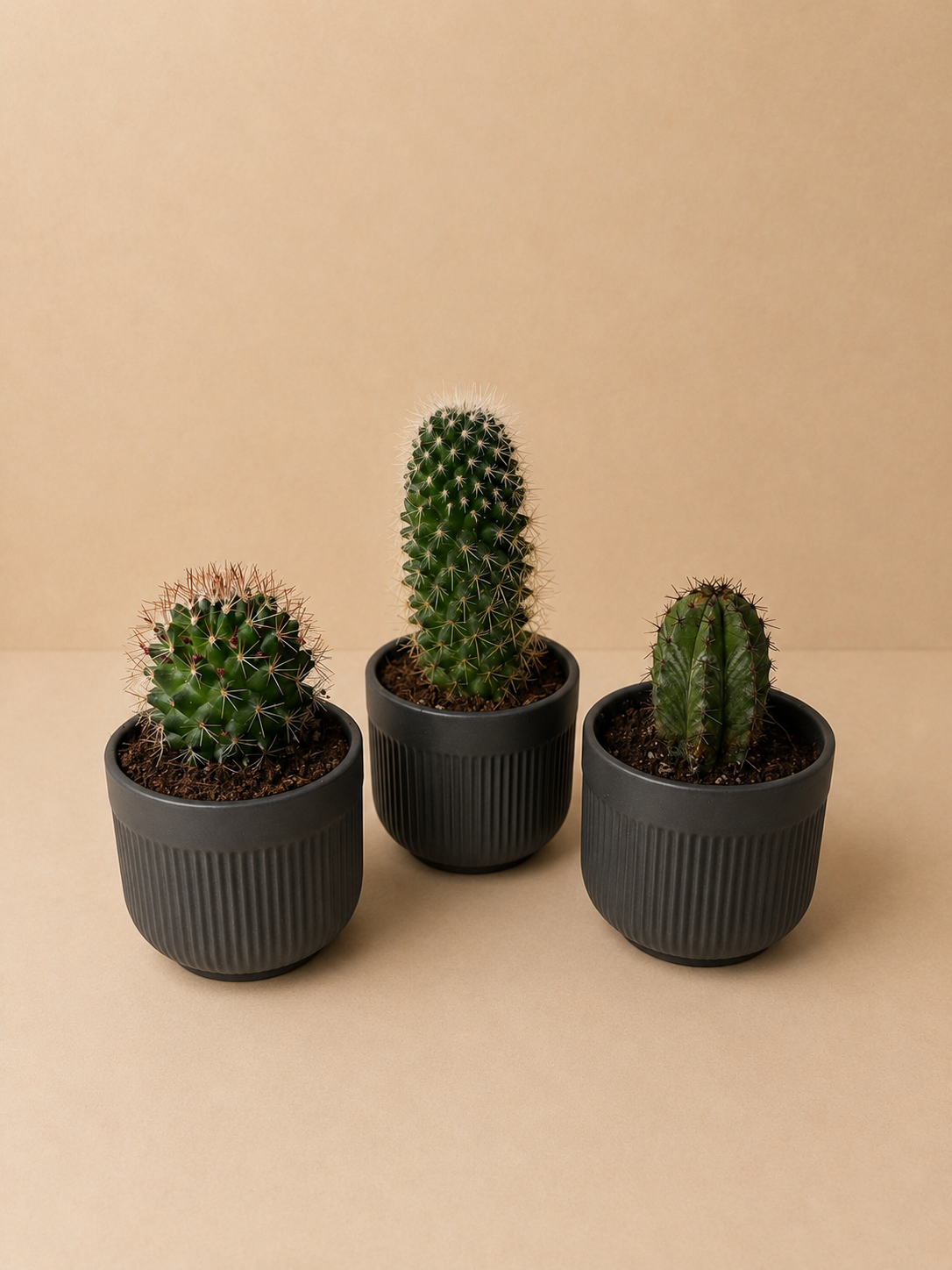 Desert Noir Collection