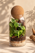 Terra Forest Terrarium