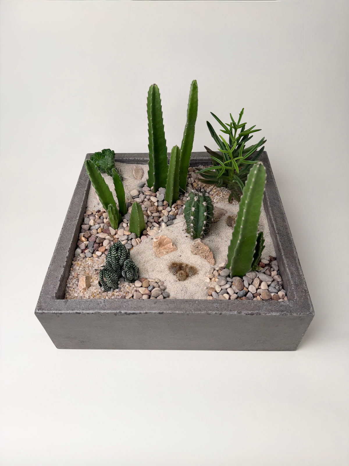 Desertscape Terrarium