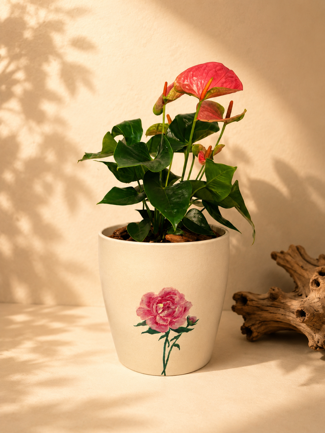 Blushing Bloom Anthurium — Premium ceramic pot featuring an exclusive hand-drawn floral design by a local artist.