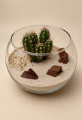 OASIS BOWL