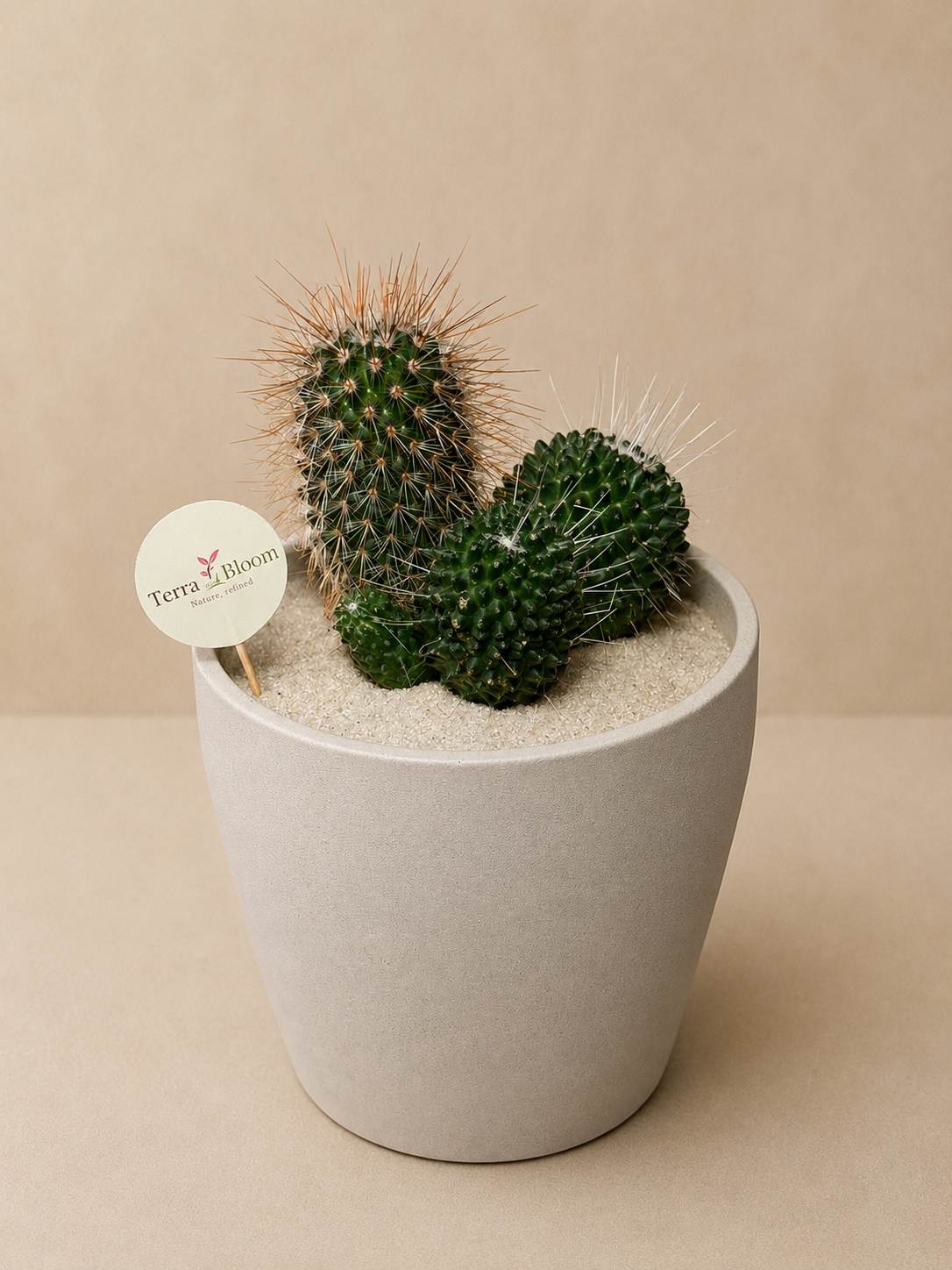 Ceramic Moonstone Cactus Pot