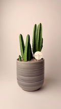 Desert Towers - Premium Grey Pot