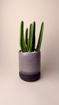 Desert Towers II - Premium Grey Pot