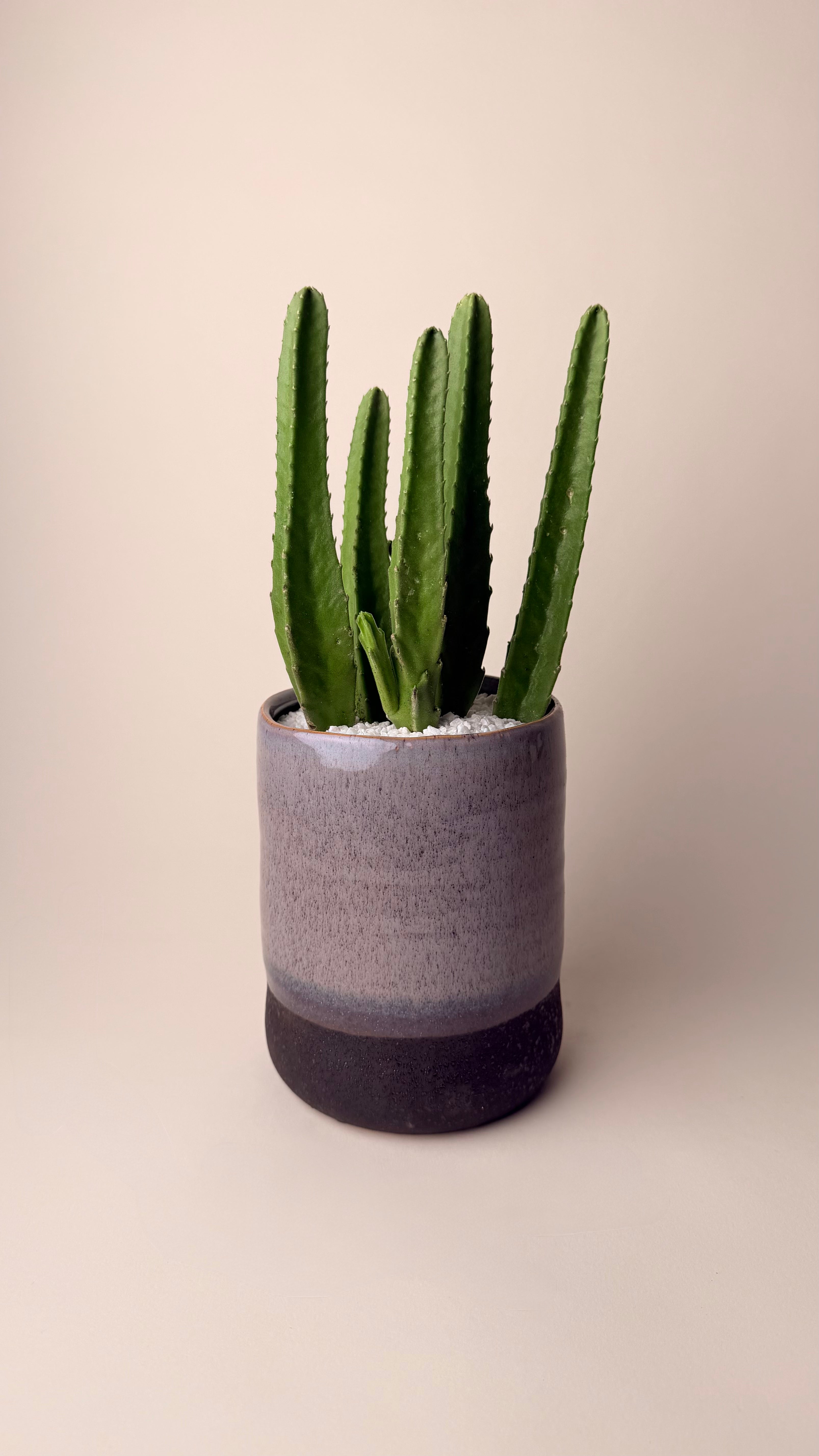Desert Towers II - Premium Grey Pot